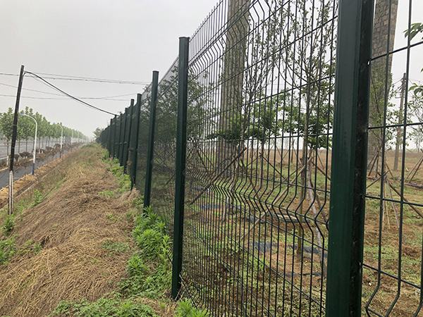 綠化帶護欄網(wǎng)圖片2 綠化帶護欄網(wǎng)圖片2