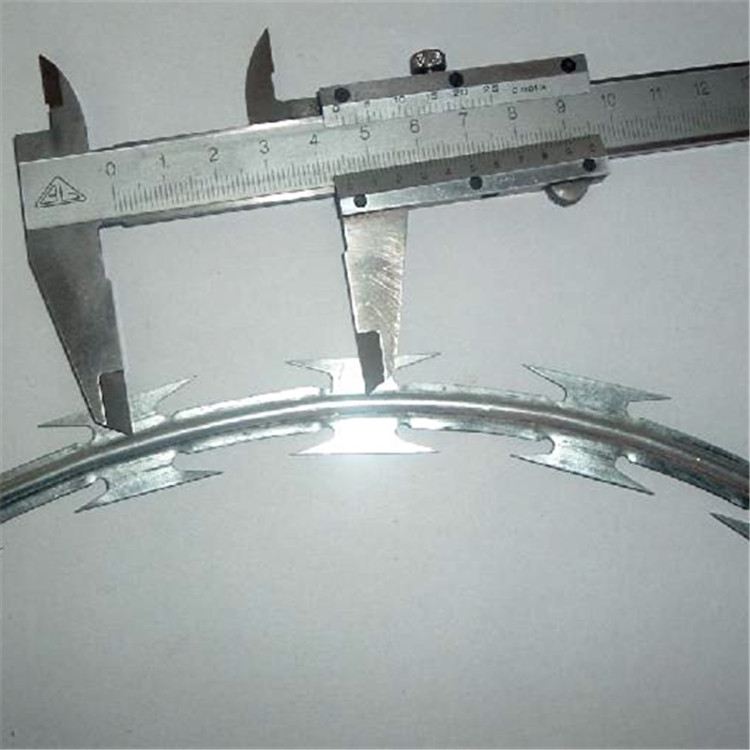 監獄鋼網墻刀片刺繩案例展示圖片4 監獄鋼網墻刀片刺繩案例展示圖片4