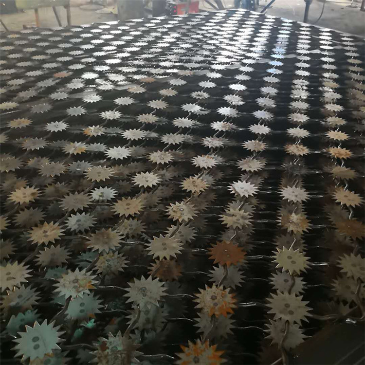 梅花刺監獄防護網案例展示圖片2 梅花刺監獄防護網案例展示圖片2