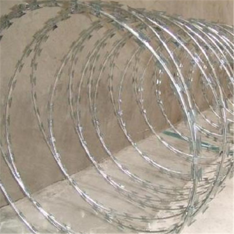 刀刺網(wǎng)案例展示圖片3 刀刺網(wǎng)案例展示圖片3